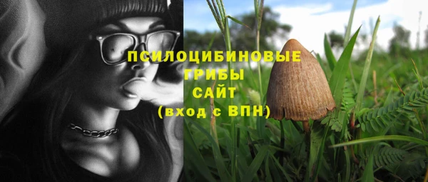 соль ск Абаза