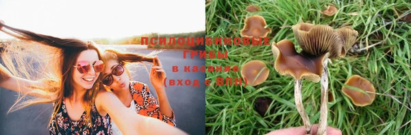 бошки Абдулино