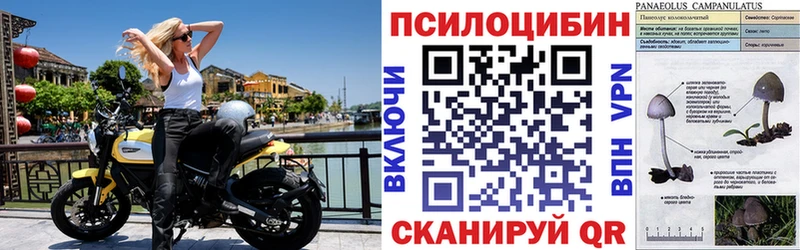 Псилоцибиновые грибы Magic Shrooms  как найти наркотики  Архангельск 