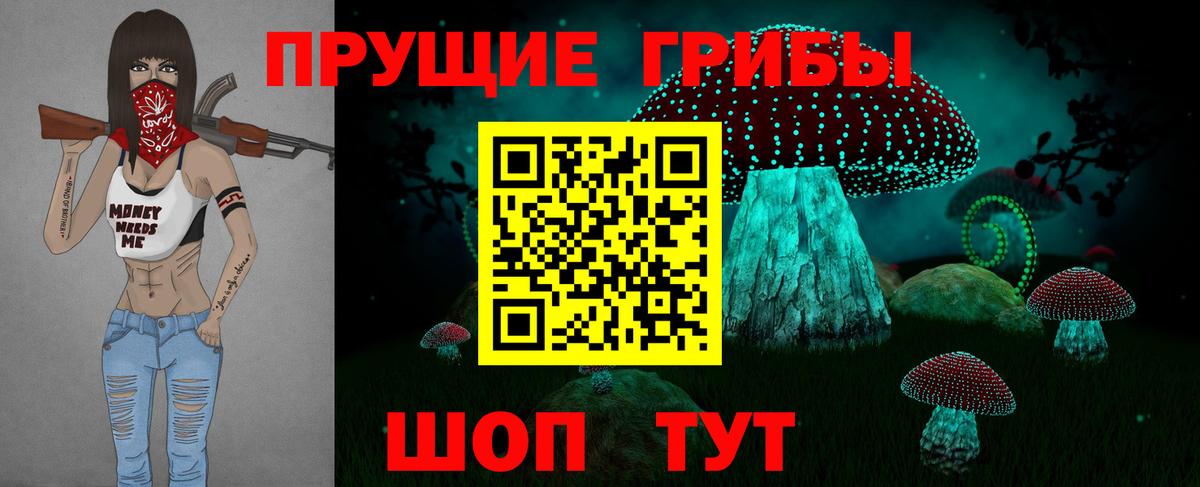 Галлюциногенные грибы Psilocybine cubensis Архангельск