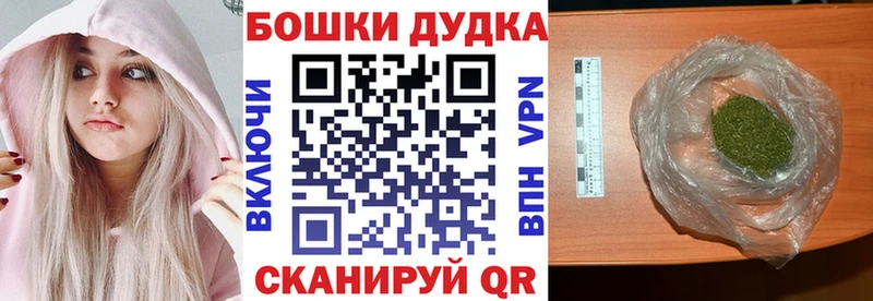 Шишки марихуана семена  Архангельск 