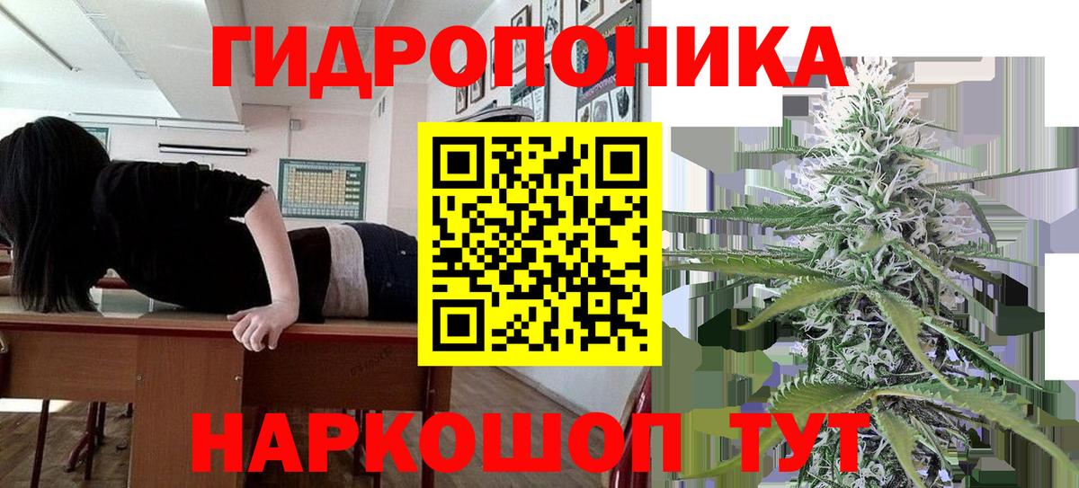 Архангельск  Бошки марихуана тримм  Конопля THC 21%  Вход с VPN  Конопля планчик  Шишки марихуана марихуана 